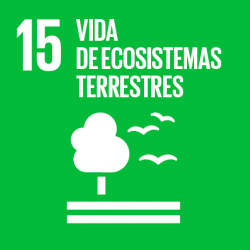 ODS 15: Vida de Ecosistemas Terrestres