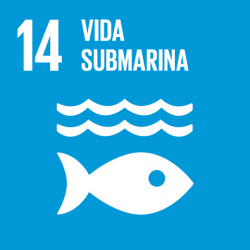 ODS 14: Vida submarina