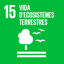 ODS 15: Vida d'ecosistemes terrestres