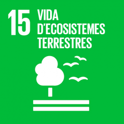 ODS 15: Vida d'ecosistemes terrestres