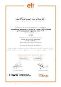 CERTIFICADO EFR